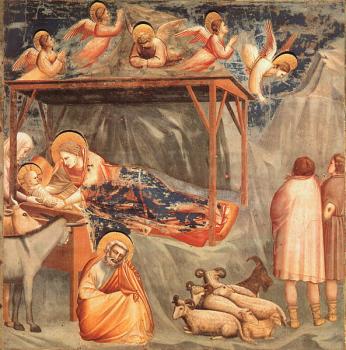 Giotto : Nativity