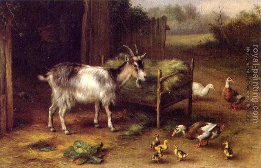 Hand Painted : Canvas painting Hand Painted : Canvas painting